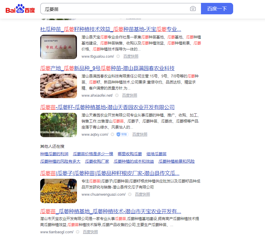 瓜蒌苗SEO优化排名